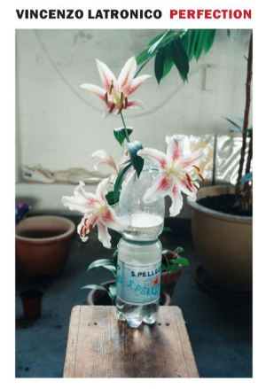 Cover for Perfection